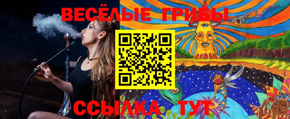 Еманжелинск  Галлюциногенные грибы ЛСД  Вход с VPN 
