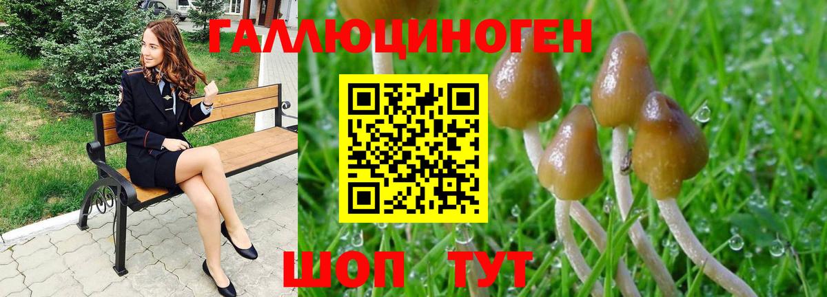 Галлюциногенные грибы Psilocybine cubensis Еманжелинск